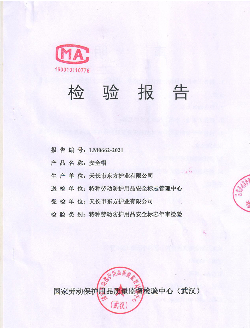 ���鱨��