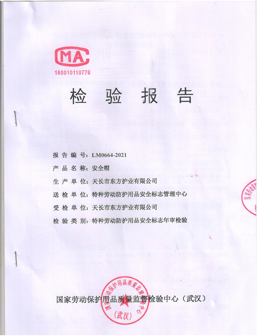 ���鱨��
